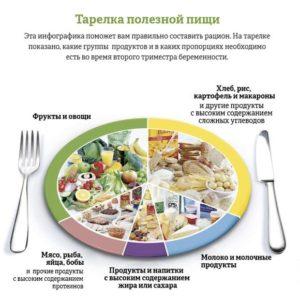 тарелка полезных продуктов при беременности во втором триместре