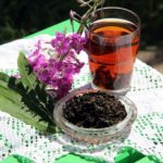 Иван-чай, заваренный в стакане, ферментированный в чашке и свежее соцветие на белой скатерти